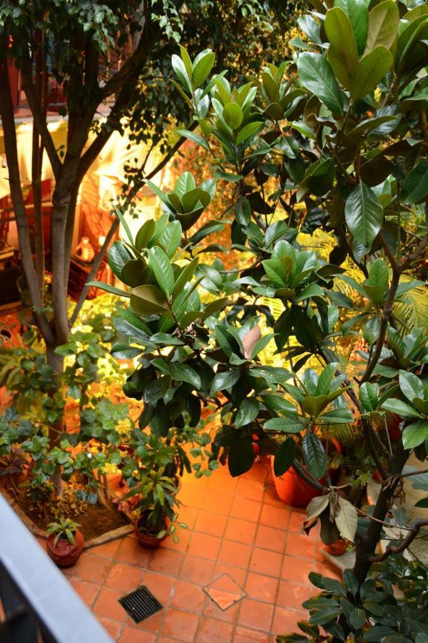 Hotel Casa Guiva Oaxaca Zewnętrze zdjęcie