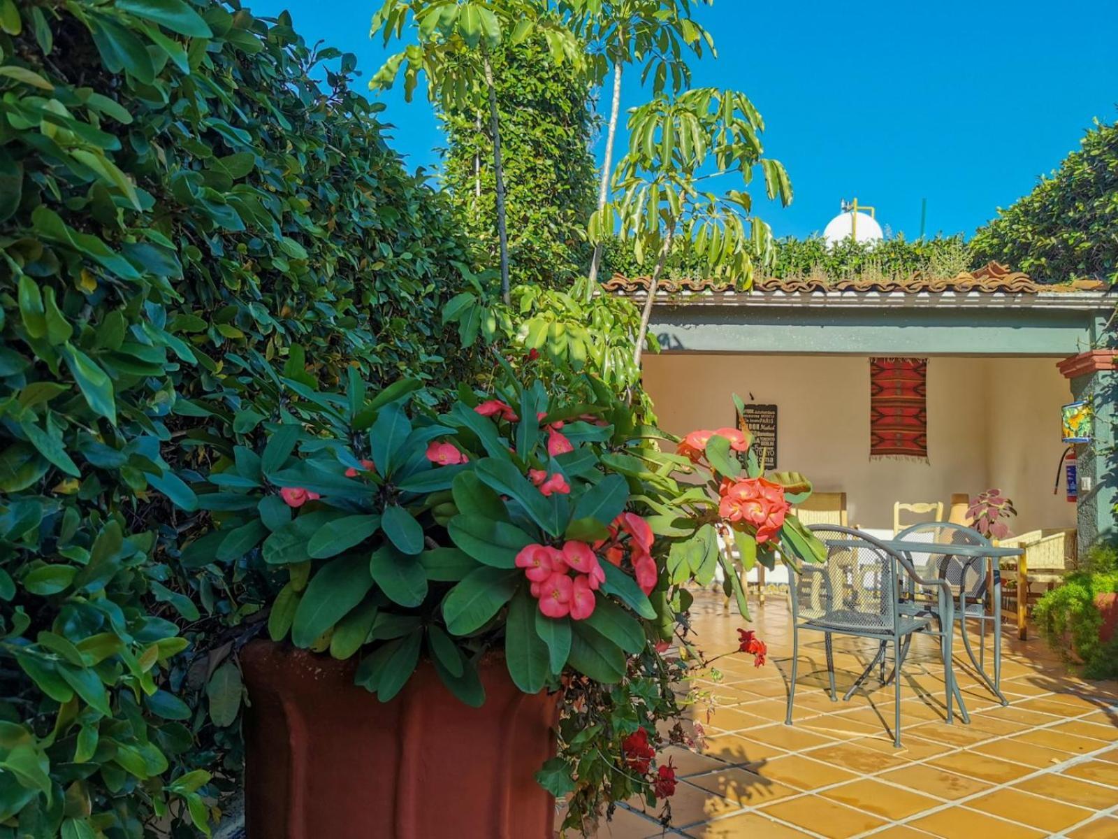 Hotel Casa Guiva Oaxaca Zewnętrze zdjęcie