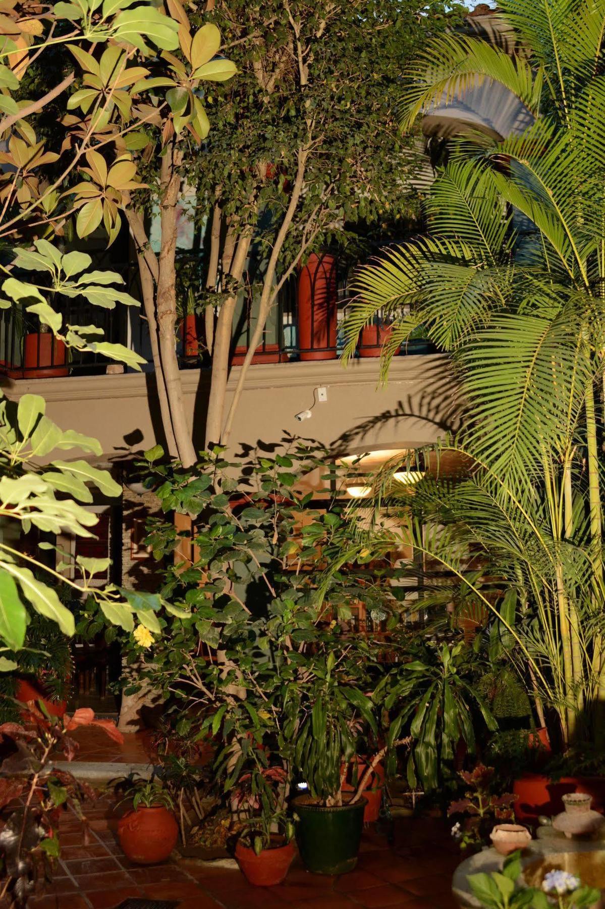 Hotel Casa Guiva Oaxaca Zewnętrze zdjęcie